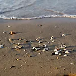 Comfy Seaside Flat Ideal For 5 Guests - Beahost Bibione