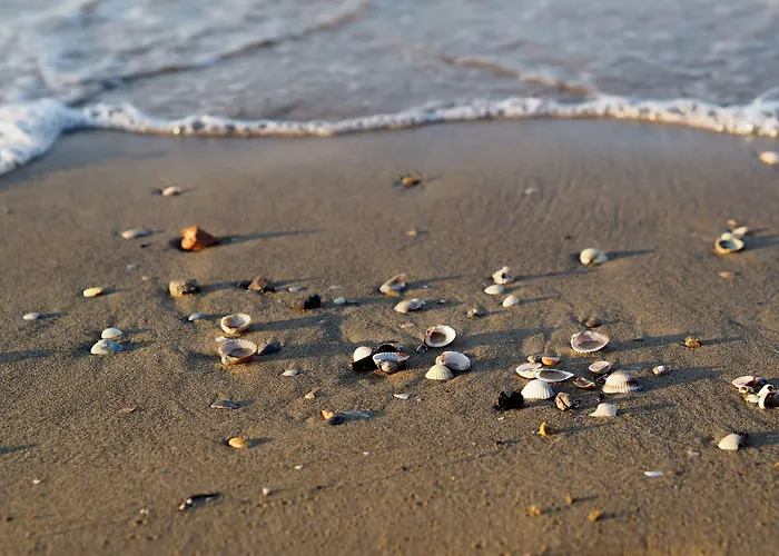 Comfy Seaside Flat Ideal For 5 Guests - Beahost 比比翁